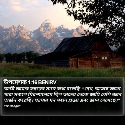 উপদেশক 1:16 BENIRV Bible Verse Image