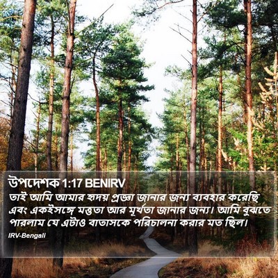উপদেশক 1:17 BENIRV Bible Verse Image