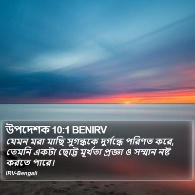 উপদেশক 10:1 BENIRV Bible Verse Image