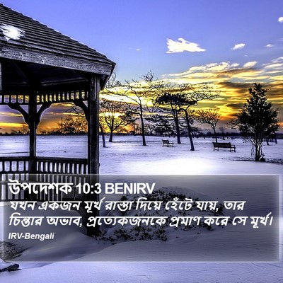 উপদেশক 10:3 BENIRV Bible Verse Image