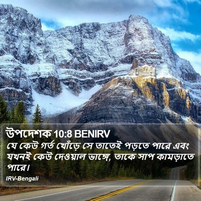 উপদেশক 10:8 BENIRV Bible Verse Image