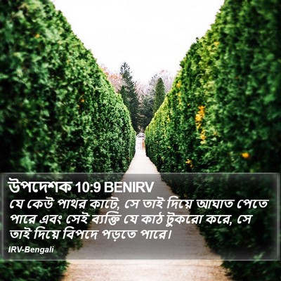 উপদেশক 10:9 BENIRV Bible Verse Image