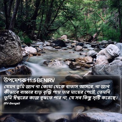 উপদেশক 11:5 BENIRV Bible Verse Image