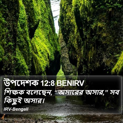 উপদেশক 12:8 BENIRV Bible Verse Image