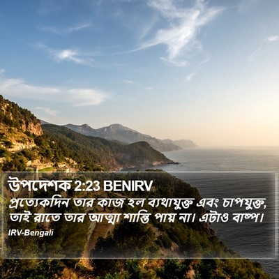 উপদেশক 2:23 BENIRV Bible Verse Image