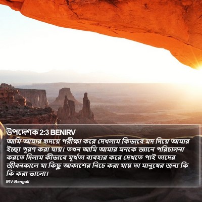 উপদেশক 2:3 BENIRV Bible Verse Image