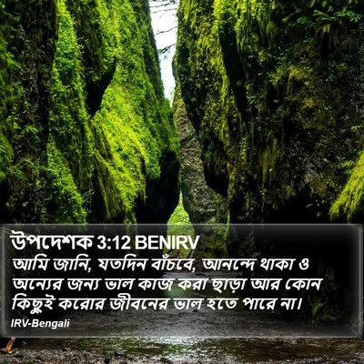 উপদেশক 3:12 BENIRV Bible Verse Image