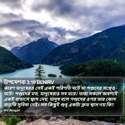 উপদেশক 3:19 BENIRV Bible Verse Image