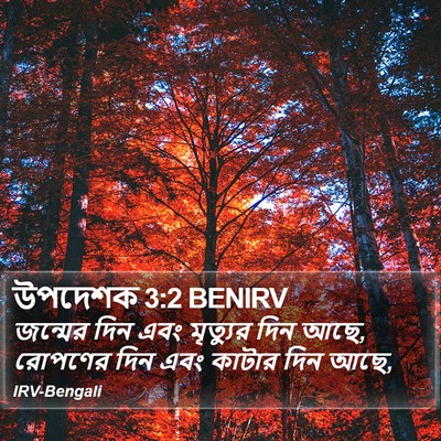 উপদেশক 3:2 BENIRV Bible Verse Image
