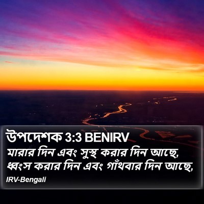 উপদেশক 3:3 BENIRV Bible Verse Image