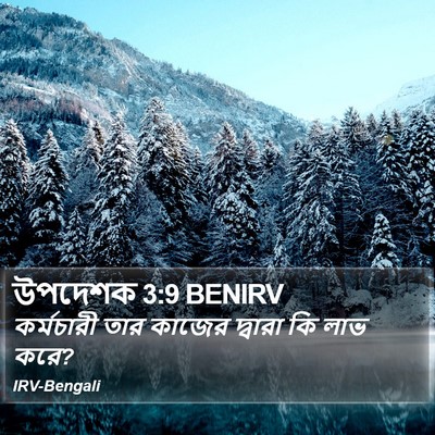 উপদেশক 3:9 BENIRV Bible Verse Image