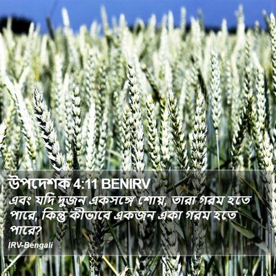 উপদেশক 4:11 BENIRV Bible Verse Image