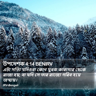 উপদেশক 4:14 BENIRV Bible Verse Image