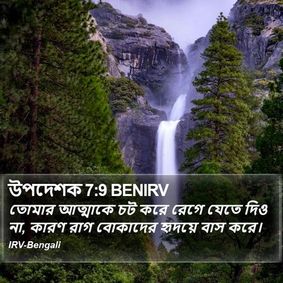 উপদেশক 7:9 BENIRV Bible Verse Image