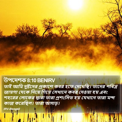উপদেশক 8:10 BENIRV Bible Verse Image