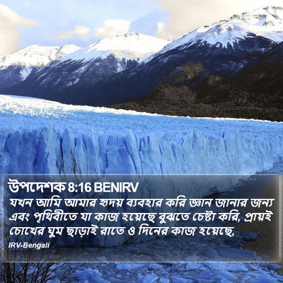 উপদেশক 8:16 BENIRV Bible Verse Image
