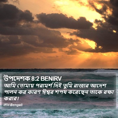 উপদেশক 8:2 BENIRV Bible Verse Image