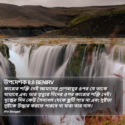 উপদেশক 8:8 BENIRV Bible Verse Image