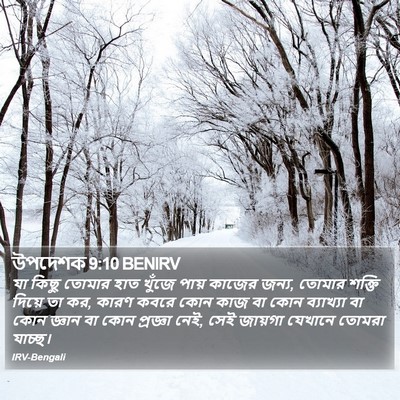 উপদেশক 9:10 BENIRV Bible Verse Image