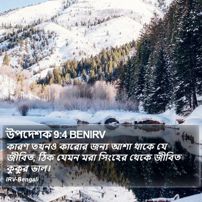 উপদেশক 9:4 BENIRV Bible Verse Image