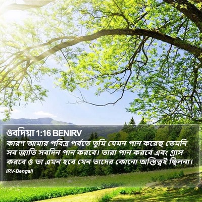 ওবদিয়া 1:16 BENIRV Bible Verse Image