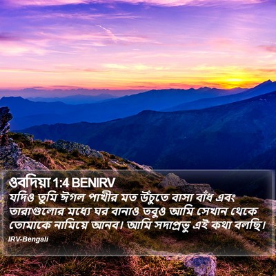 ওবদিয়া 1:4 BENIRV Bible Verse Image