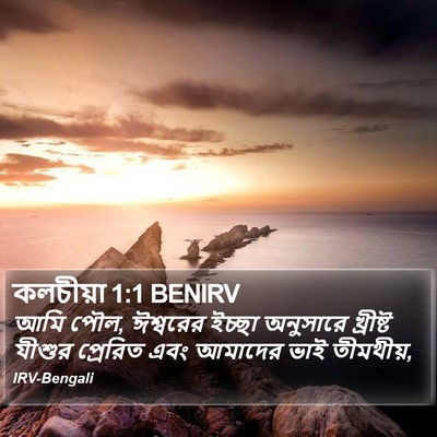 কলচীয়া 1:1 BENIRV Bible Verse Image