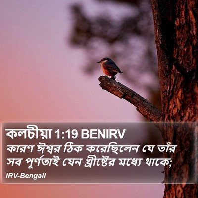 কলচীয়া 1:19 BENIRV Bible Verse Image
