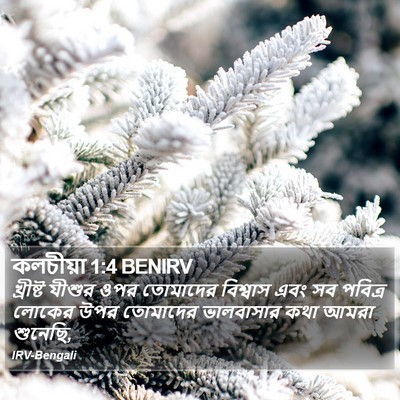 কলচীয়া 1:4 BENIRV Bible Verse Image