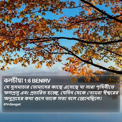 কলচীয়া 1:6 BENIRV Bible Verse Image