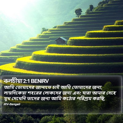 কলচীয়া 2:1 BENIRV Bible Verse Image