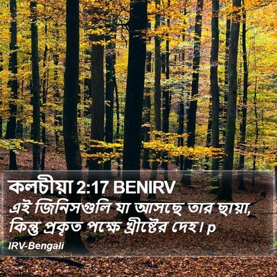 কলচীয়া 2:17 BENIRV Bible Verse Image