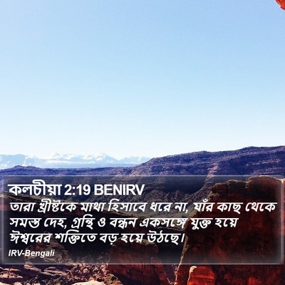 কলচীয়া 2:19 BENIRV Bible Verse Image