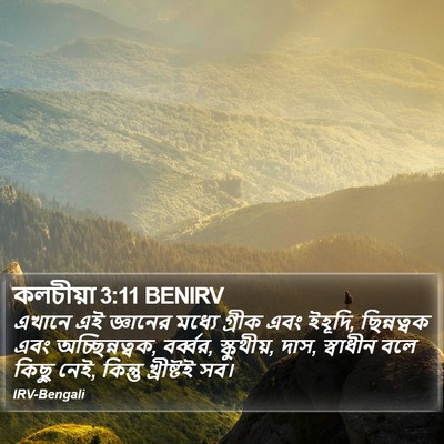 কলচীয়া 3:11 BENIRV Bible Verse Image
