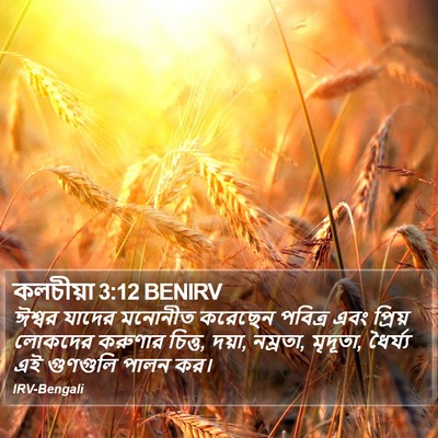 কলচীয়া 3:12 BENIRV Bible Verse Image