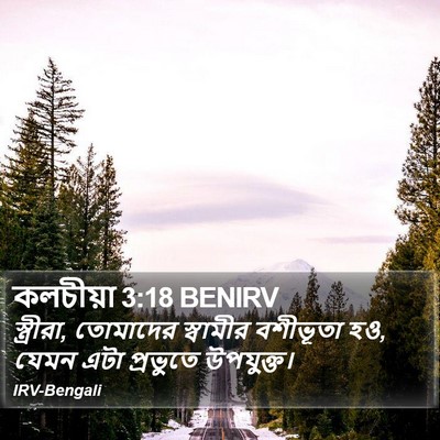 কলচীয়া 3:18 BENIRV Bible Verse Image