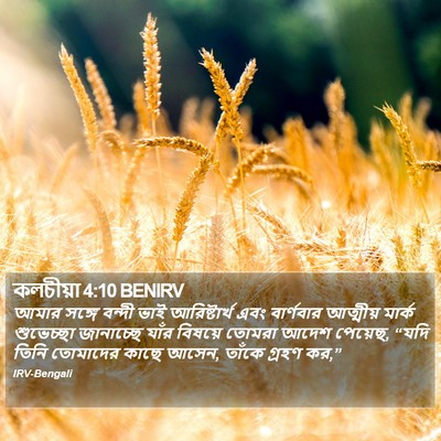 কলচীয়া 4:10 BENIRV Bible Verse Image