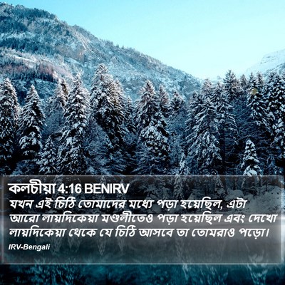 কলচীয়া 4:16 BENIRV Bible Verse Image