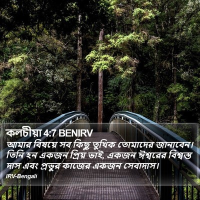 কলচীয়া 4:7 BENIRV Bible Verse Image