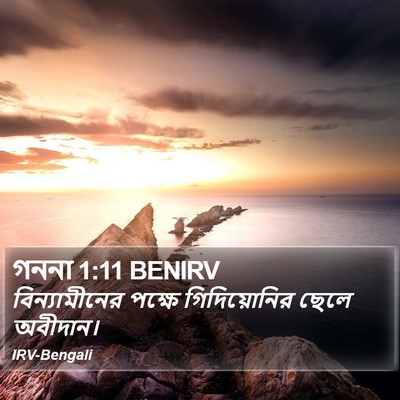 গননা 1:11 BENIRV Bible Verse Image