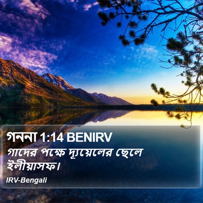 গননা 1:14 BENIRV Bible Verse Image