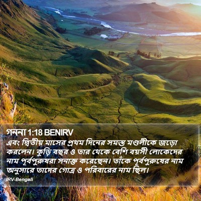 গননা 1:18 BENIRV Bible Verse Image
