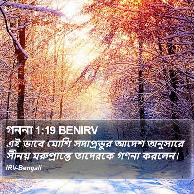 গননা 1:19 BENIRV Bible Verse Image
