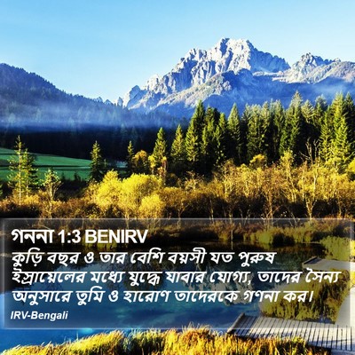 গননা 1:3 BENIRV Bible Verse Image