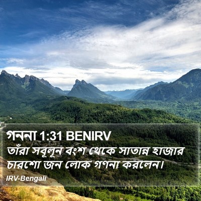 গননা 1:31 BENIRV Bible Verse Image