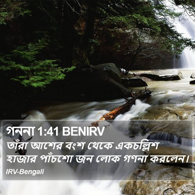 গননা 1:41 BENIRV Bible Verse Image