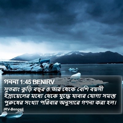 গননা 1:45 BENIRV Bible Verse Image