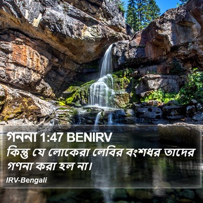গননা 1:47 BENIRV Bible Verse Image