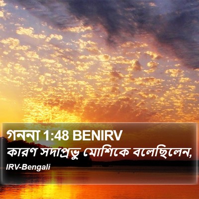 গননা 1:48 BENIRV Bible Verse Image