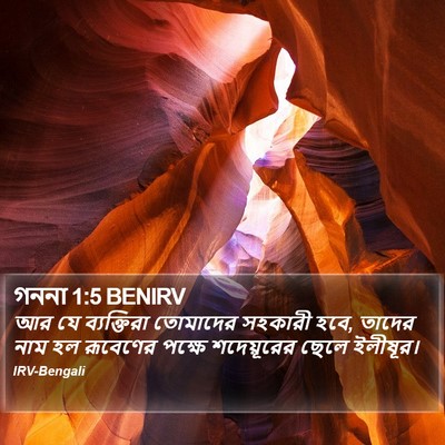 গননা 1:5 BENIRV Bible Verse Image